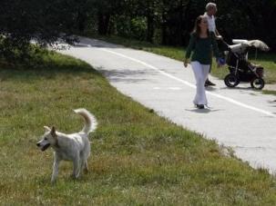  Nová hospůdka na Parukářce zatím nevyroste