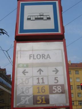 flora